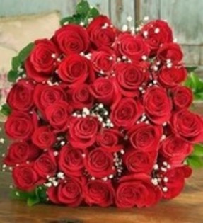 10142113_STGMSYGTM - poze cu trandafiri rosii superbi