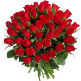 12545783_QRVDIATVY - poze cu trandafiri rosii superbi