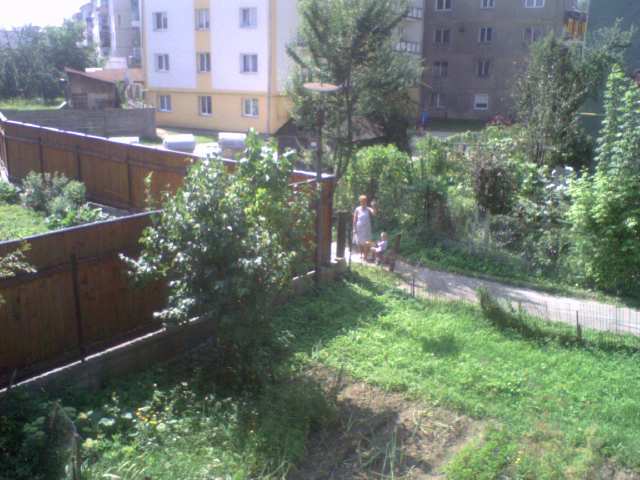 ceaaaau - diverse ipostaze