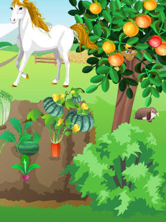 My farm - concurs