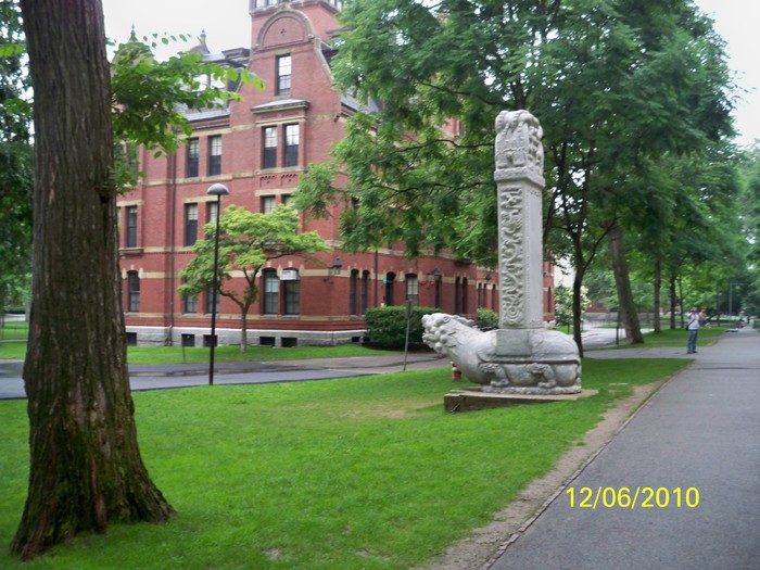 100_4181; HARVARD UNIVERSITY
