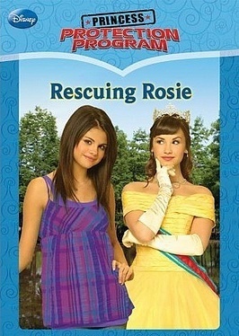 DBWAANUSDVISLRTKKED - Princess Protection Program Books