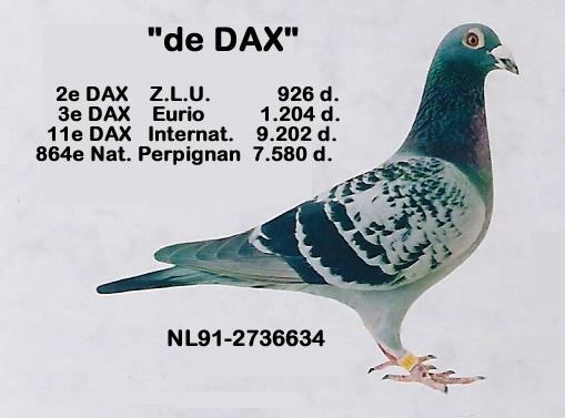 \'\' De Dax \'\' - Jan Theelen - Ascendenti celebri ai porumbeilor mei