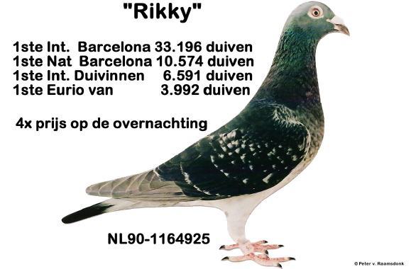 \'\' \'Rikky \'\' - Jan Theelen