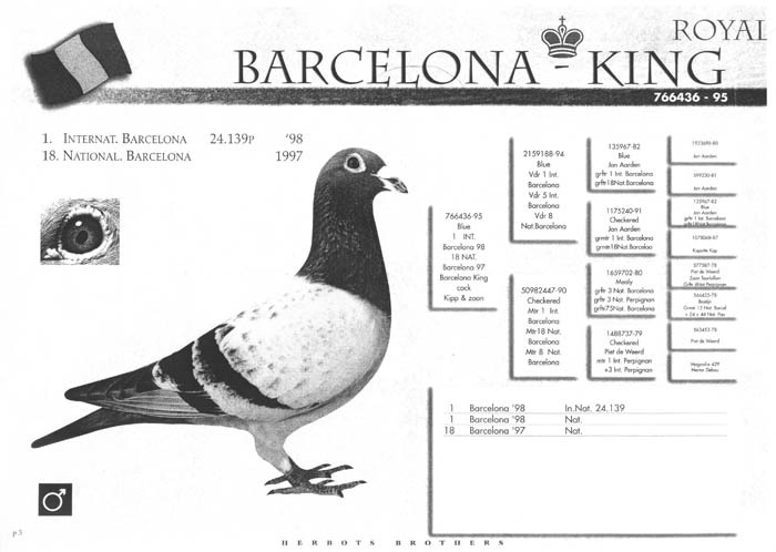 Barcelona King -pedigree & foto - Ascendenti celebri ai porumbeilor mei