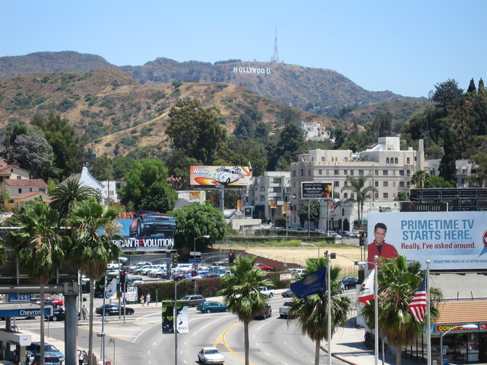 Hollywood13 - Hollywood