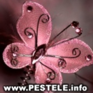 avatare poze roz avatare org j700 roz msi roz gloss roz - Poze Avatar Roz