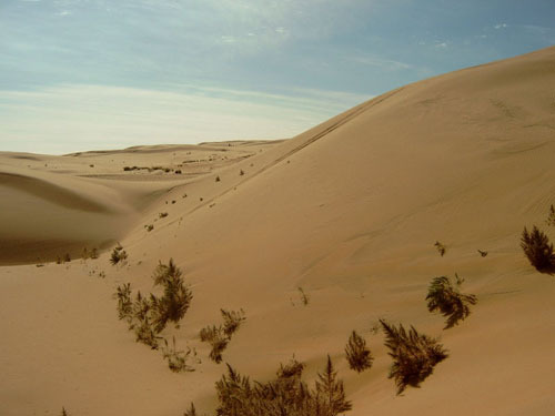 Desertul Gobi,China