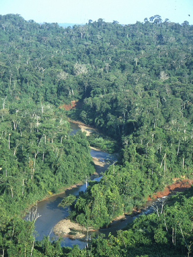 Amazonul,Brazilia