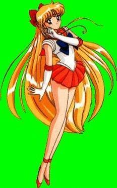 Sailor_Moon_1254788888_0_1995 - Sailor moon