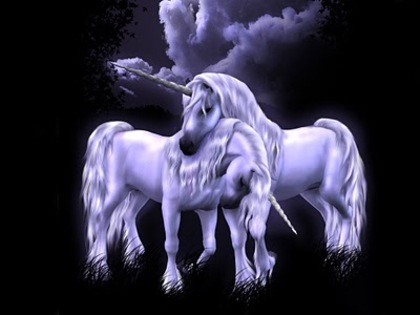poze_unicorn - animale