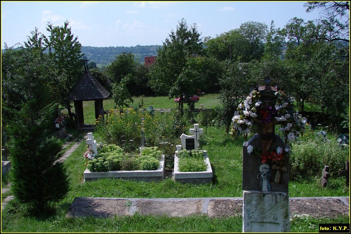 DSC07529 - Biserica de lemn - Plopis