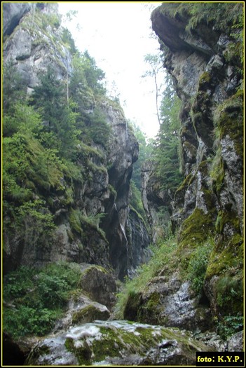 DSC08430