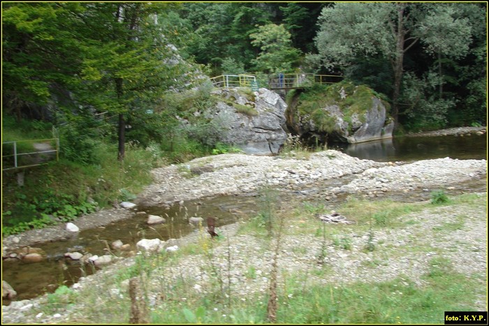 DSC08606 - Cheile Corcoaia - Valea Cernei - august 2010
