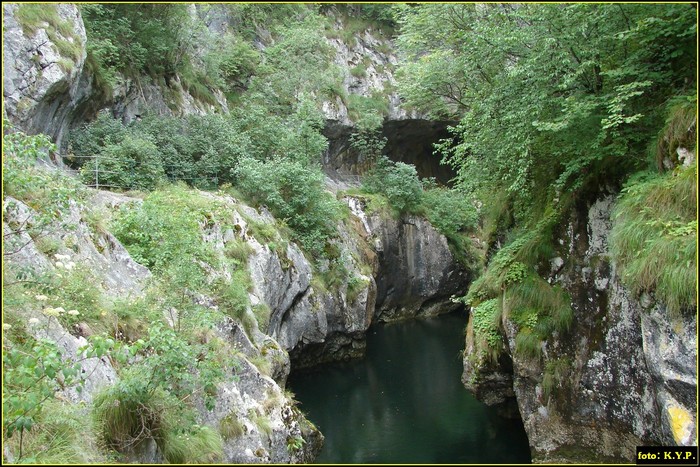 DSC08609 - Cheile Corcoaia - Valea Cernei - august 2010