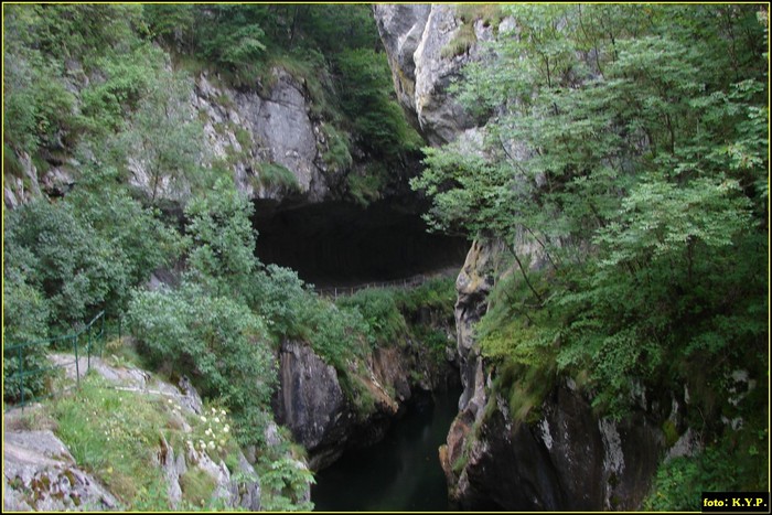 DSC08612 - Cheile Corcoaia - Valea Cernei - august 2010