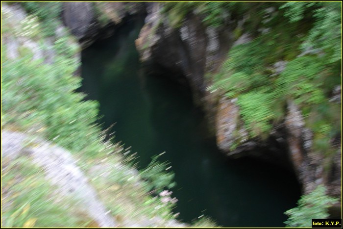 DSC08614 - Cheile Corcoaia - Valea Cernei - august 2010