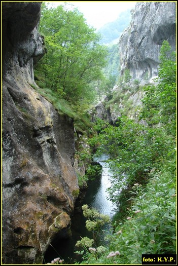 DSC08628 - Cheile Corcoaia - Valea Cernei - august 2010