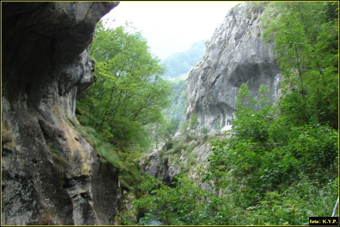 DSC08629 - Cheile Corcoaia - Valea Cernei - august 2010