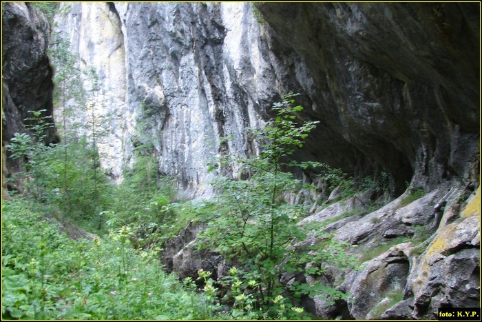 DSC08633 - Cheile Corcoaia - Valea Cernei - august 2010