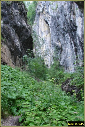 DSC08634 - Cheile Corcoaia - Valea Cernei - august 2010