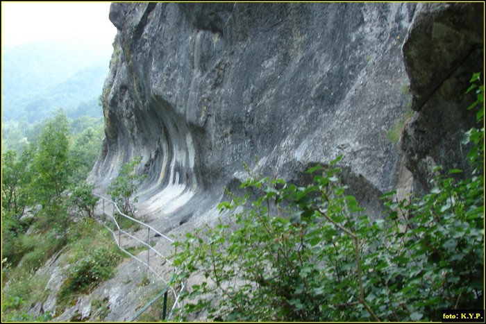 DSC08654 - Cheile Corcoaia - Valea Cernei - august 2010