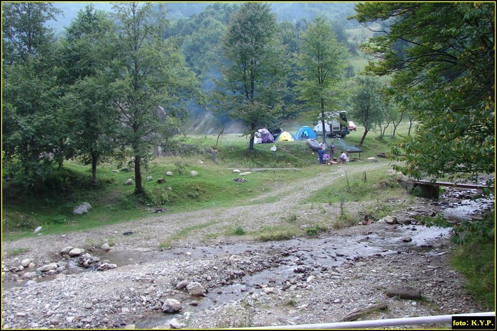 DSC08663 - Cheile Corcoaia - Valea Cernei - august 2010