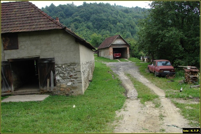 DSC08110 - Cheile Crivadiei - august 2010