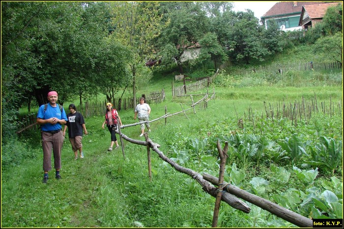 DSC08114 - Cheile Crivadiei - august 2010