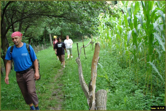 DSC08115 - Cheile Crivadiei - august 2010