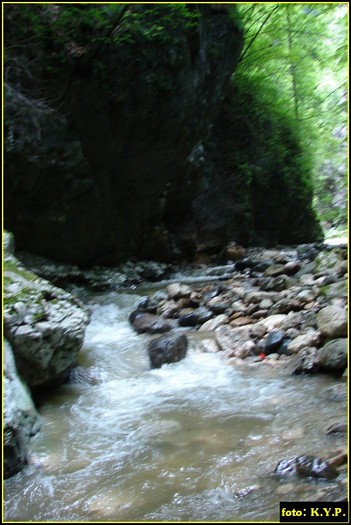 DSC08275