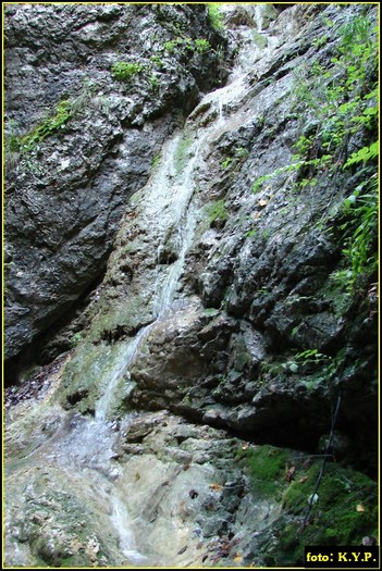 DSC08294