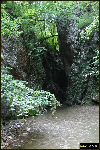 DSC08300