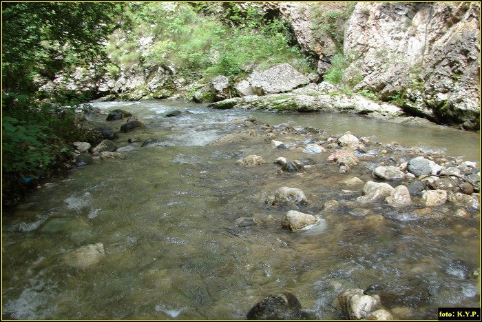 DSC08303