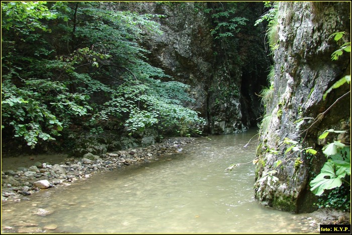 DSC08304