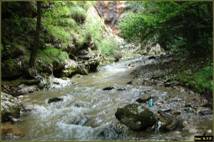 DSC08308