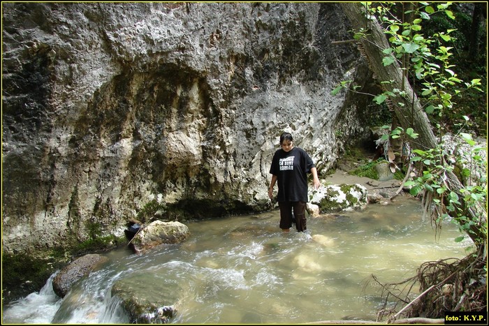 DSC08315