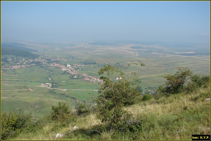 DSC07726 - Cheile Turzii - august 2010