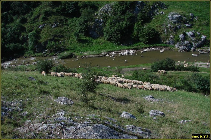 DSC07736 - Cheile Turzii - august 2010