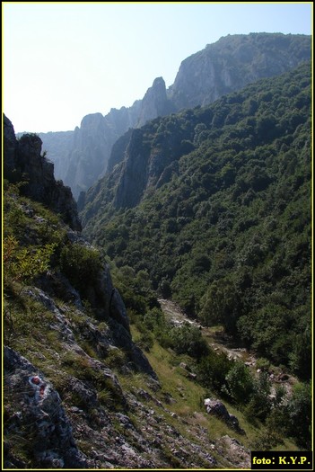 DSC07738 - Cheile Turzii - august 2010