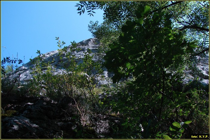DSC07756 - Cheile Turzii - august 2010