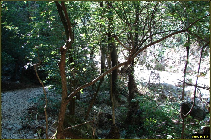 DSC07759 - Cheile Turzii - august 2010