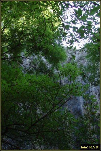 DSC07761 - Cheile Turzii - august 2010