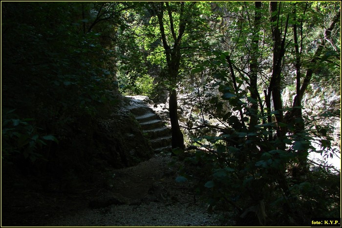 DSC07763 - Cheile Turzii - august 2010
