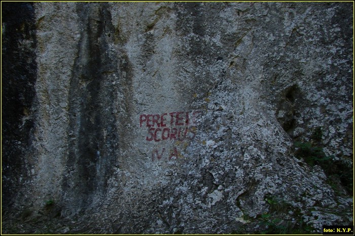 DSC07764 - Cheile Turzii - august 2010