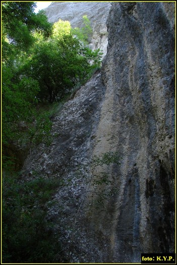 DSC07766 - Cheile Turzii - august 2010