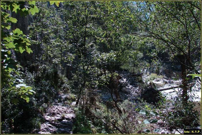 DSC07770 - Cheile Turzii - august 2010
