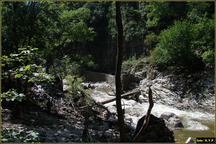 DSC07772 - Cheile Turzii - august 2010