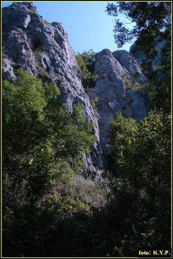 DSC07774 - Cheile Turzii - august 2010