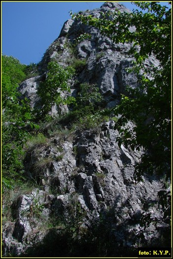 DSC07776 - Cheile Turzii - august 2010